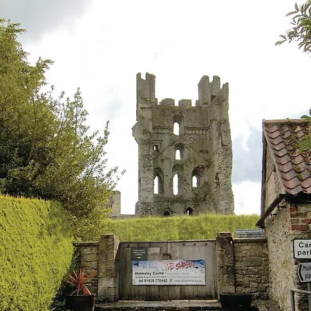 Finch - E4793 * Nawton